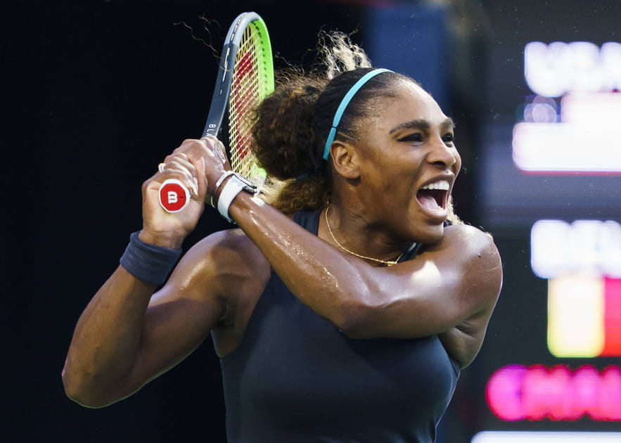 1&egrave;re - Serena Williams (tennis)&nbsp;: 29,2&nbsp;millions de dollars