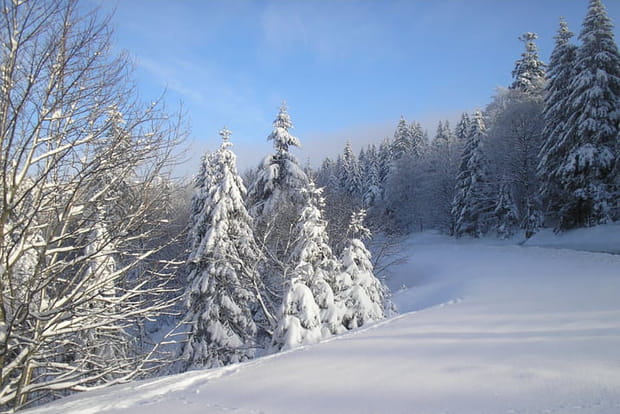 Des milliers de kilomètres de sentiers balisés