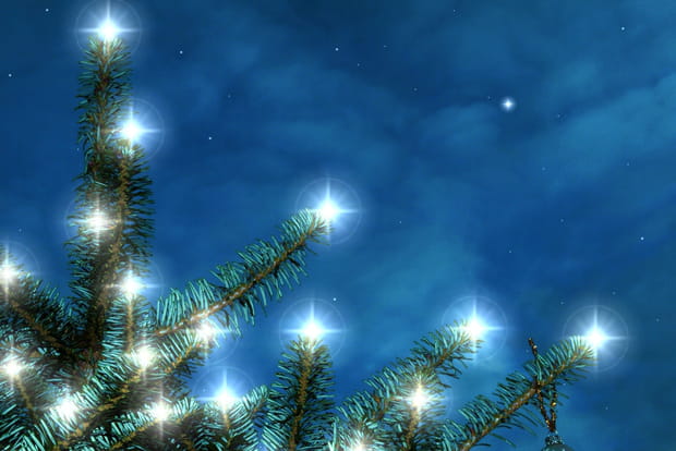 Le Séquoia de Noël à Lutzelhouse