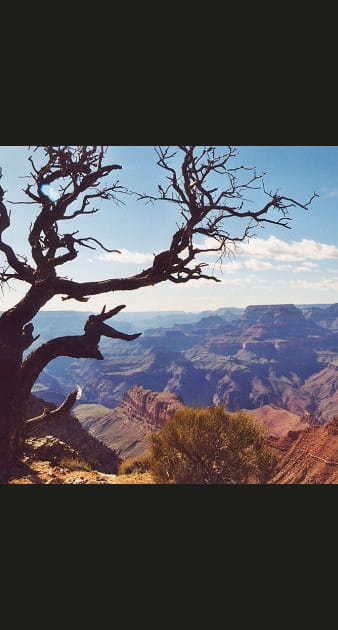 Le Parc National du Grand Canyon