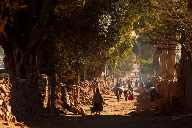 Qhapac Nan, immense réseau de routes andin