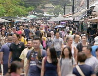 360°-GEO : Chatuchak, le plus grand marché de Thaïlande