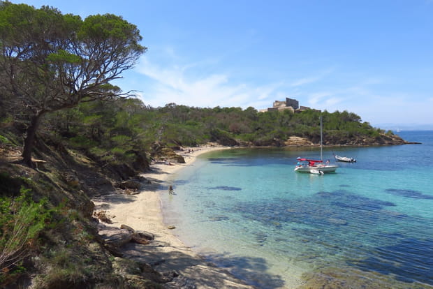 La plage de l'Alycastre à Porquerolles