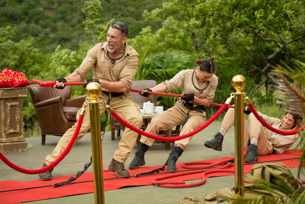 Je suis une célébrité sortez moi de là