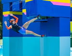 Total Wipeout