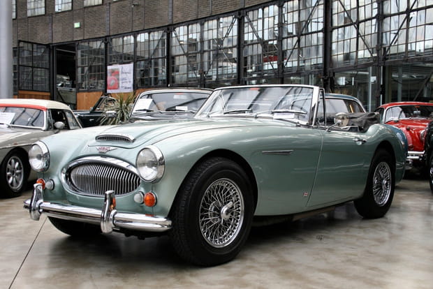 Austin Healey 3000
