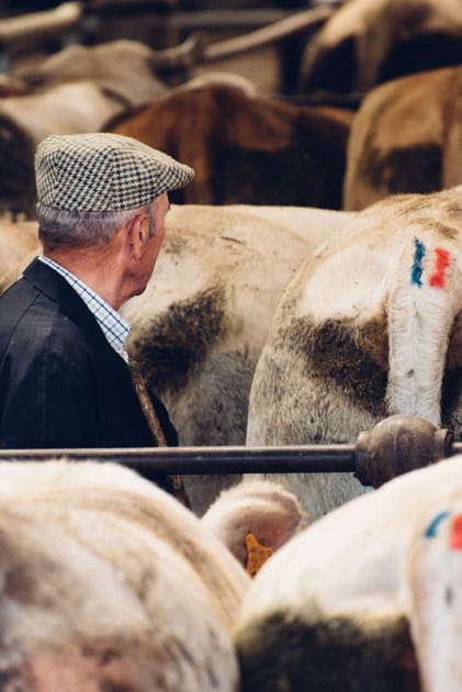 Le monde agricole est-il menac&eacute;&nbsp;?