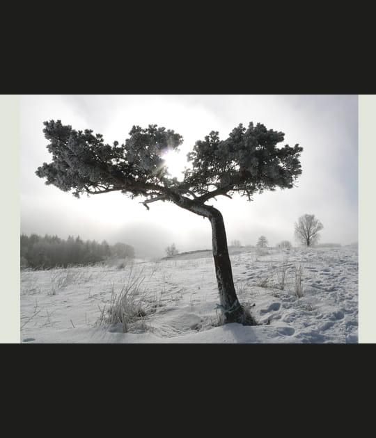 Givre