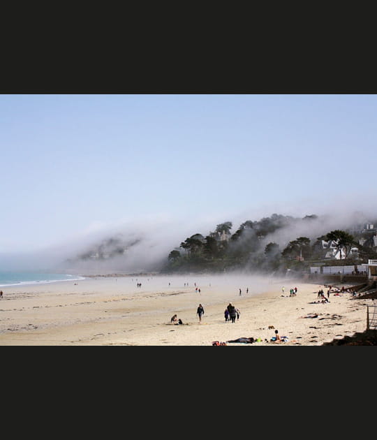 Brouillard tombant