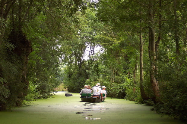 Le marais poitevin