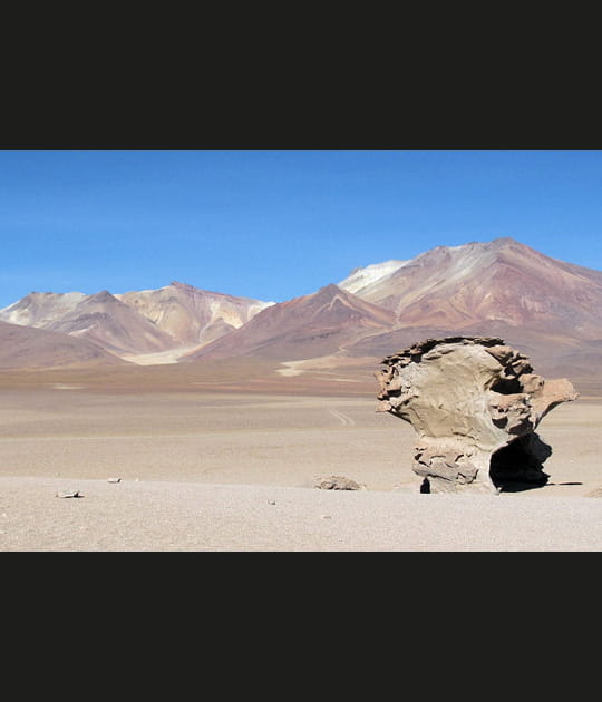 D&eacute;sert d'Atacama