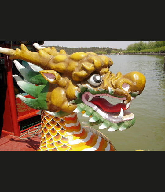Plus original&nbsp;: un dragon