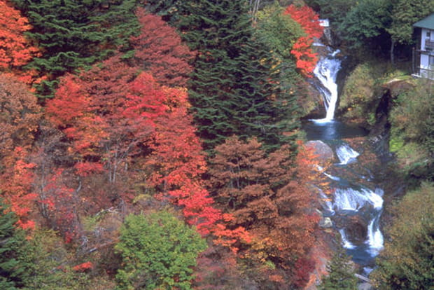 Les gorges de Shibukawa