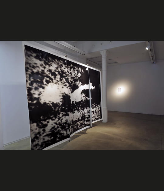 40&nbsp;ans de ruptures&nbsp;: Joan Fontcuberta