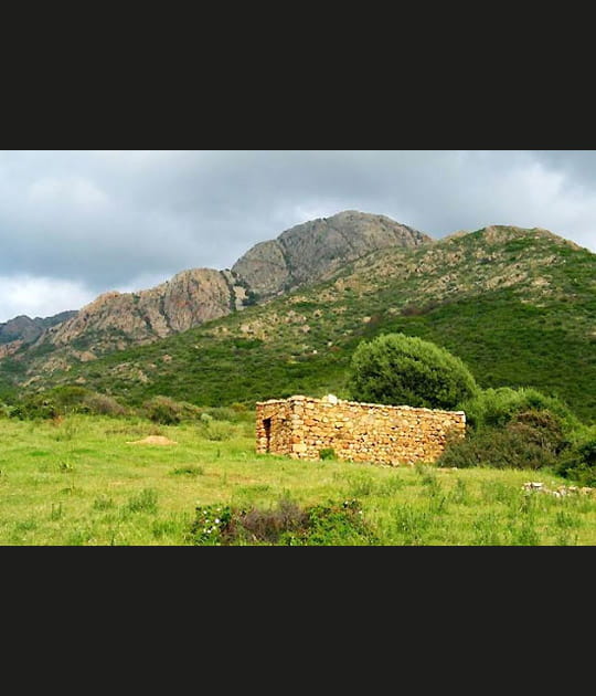 Bergerie corse