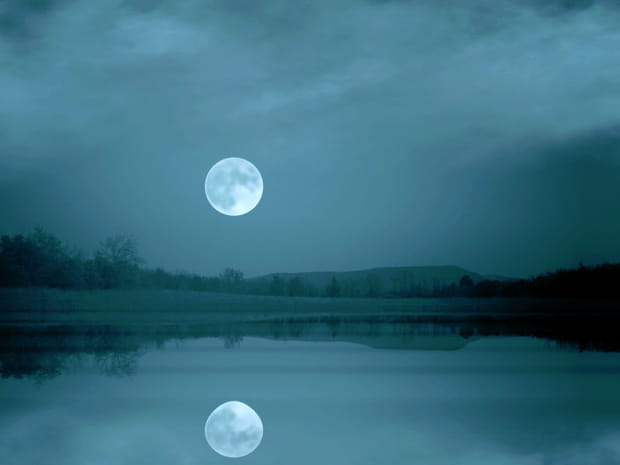 Création numérique