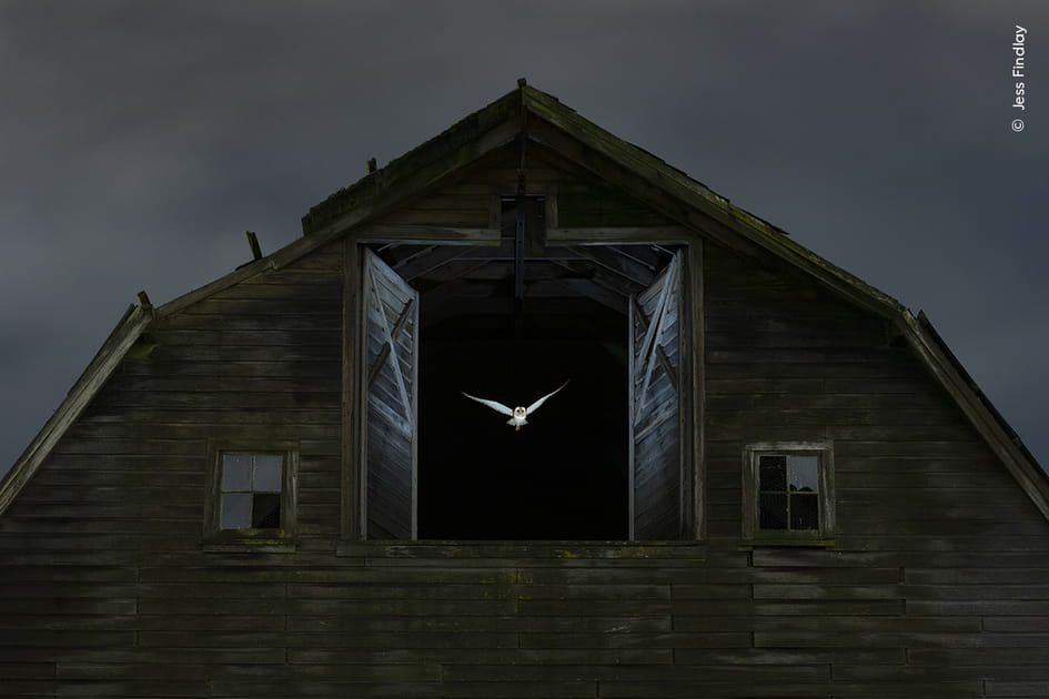 Au bout de la nuit