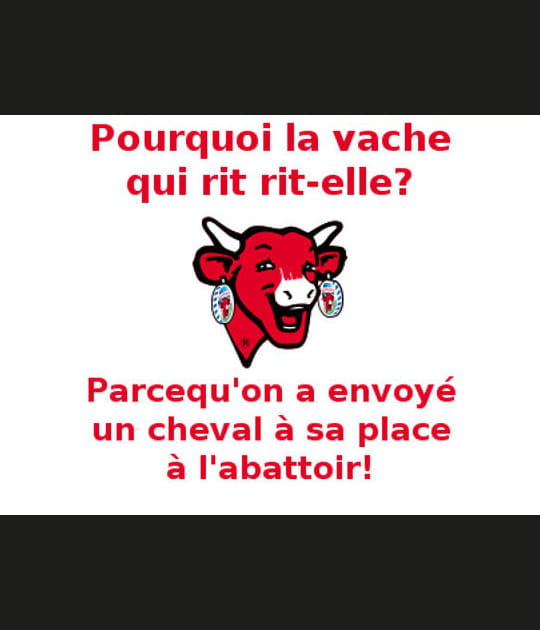 Une blague qui a fait le tour du Web