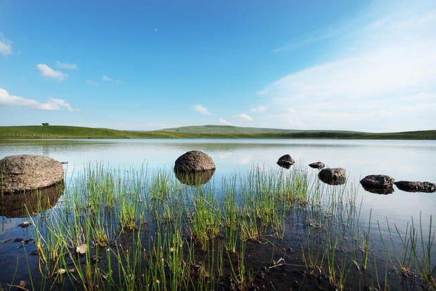 Réserve naturelle des sagnes de La Godivelle