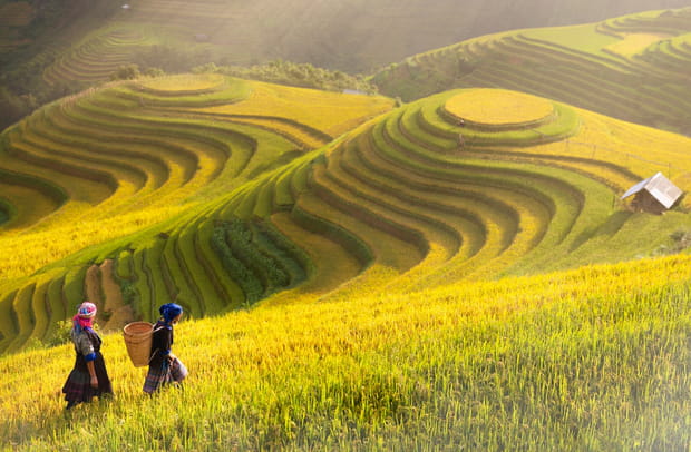 Mu Cang Chai