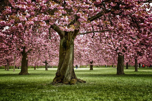 Les plus belles campagnes françaises