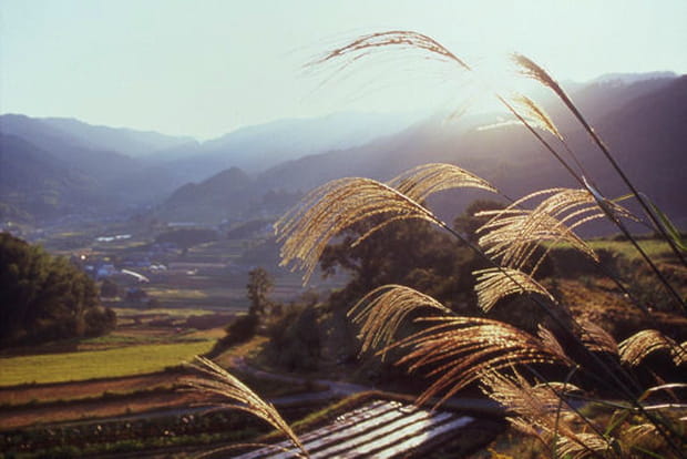 Un automne à Asukamura