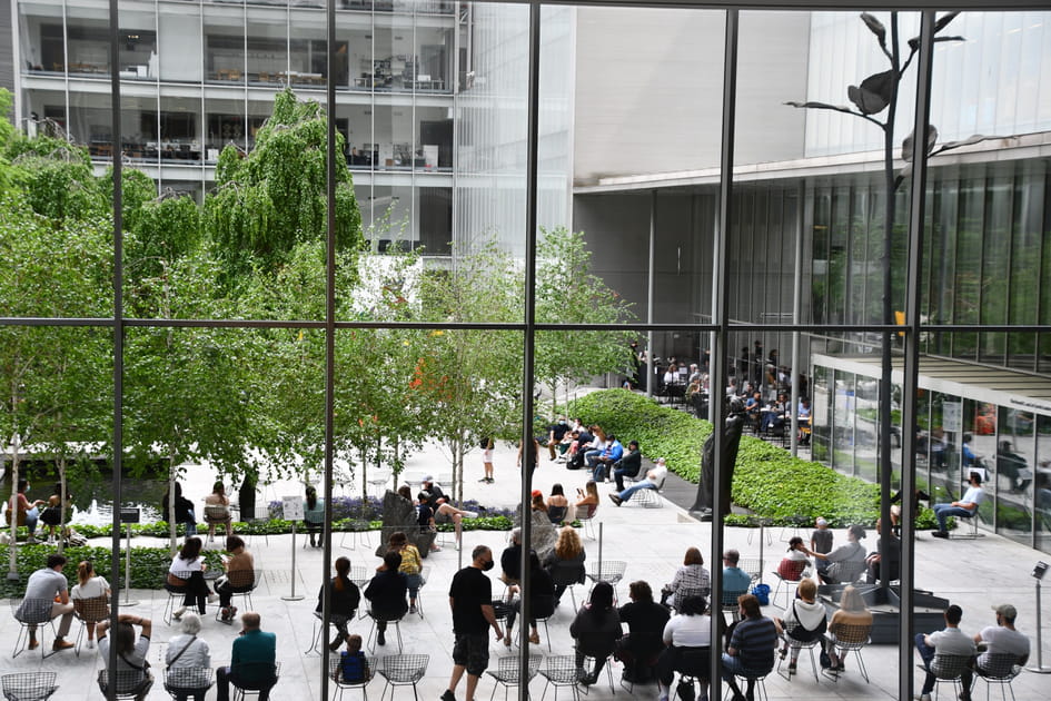 MoMA