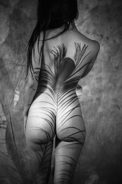 Plume de paon