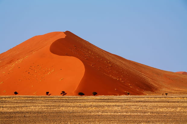 Le chemin des dunes, Namibie