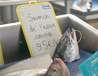 Sur le front : La vérité sur le saumon