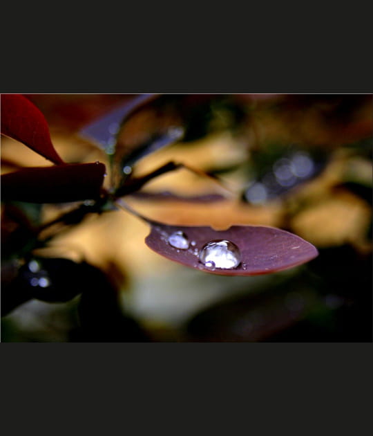De l'eau dans une cuill&egrave;re