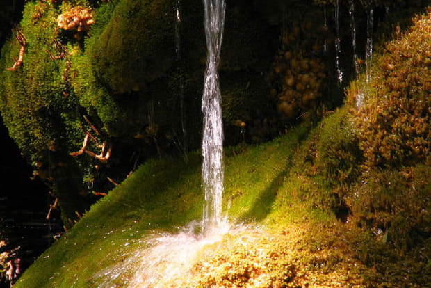 Les fontaines pétrifiantes de La Sône