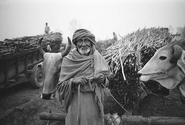 La détresse des sans terre