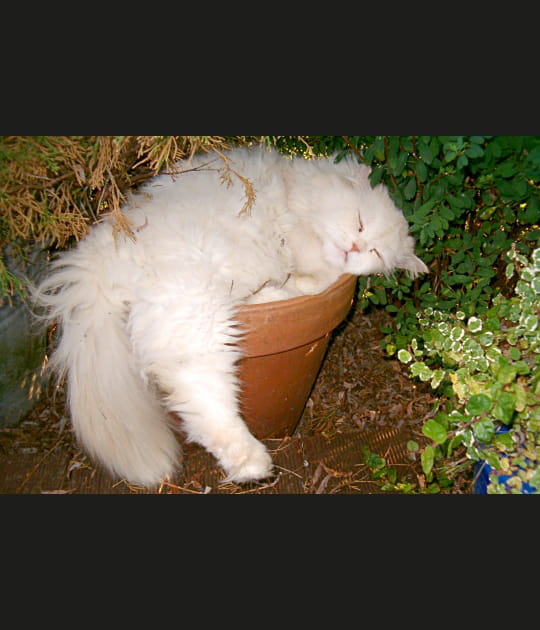 Sommeil