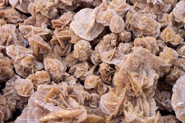 Les roses des sables