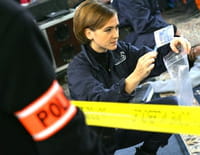 R.I.S. Police scientifique : Puzzle
