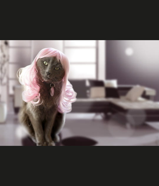 Qu'est ce qu'il y a&nbsp;?