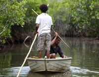 Des îles et des hommes : La Nouvelle-Calédonie : retour aux sources