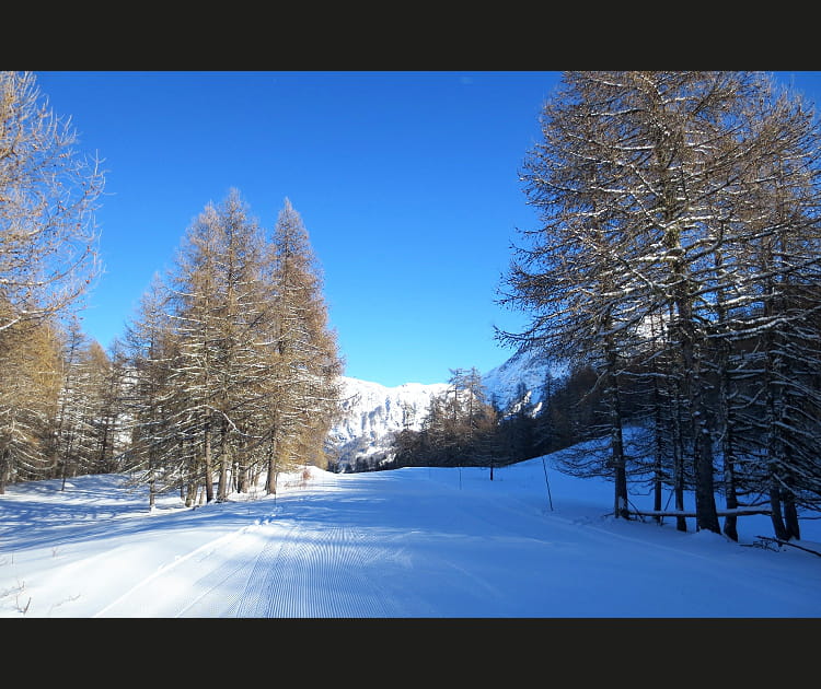Serre-Eyraud, le &quot;spot secret&quot; des amateurs de neige poudreuse