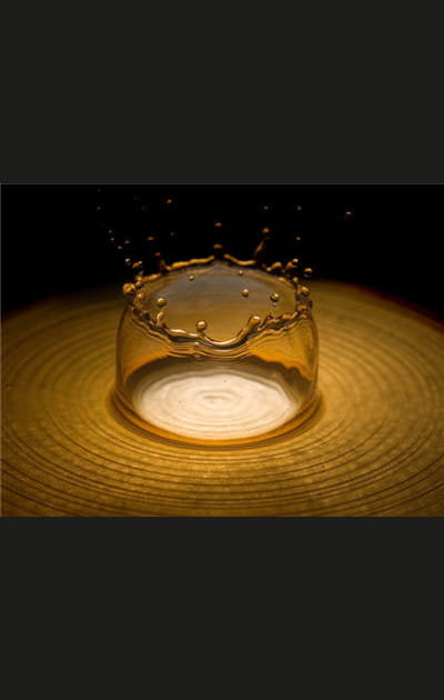 C'est fort de caf&eacute;