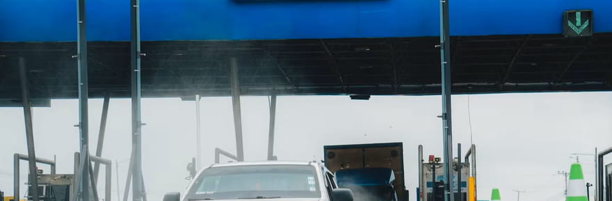 Des champignons contaminants s&egrave;ment la panique, des arches de d&eacute;sinfection install&eacute;es aux p&eacute;ages pour emp&ecirc;cher la propagation