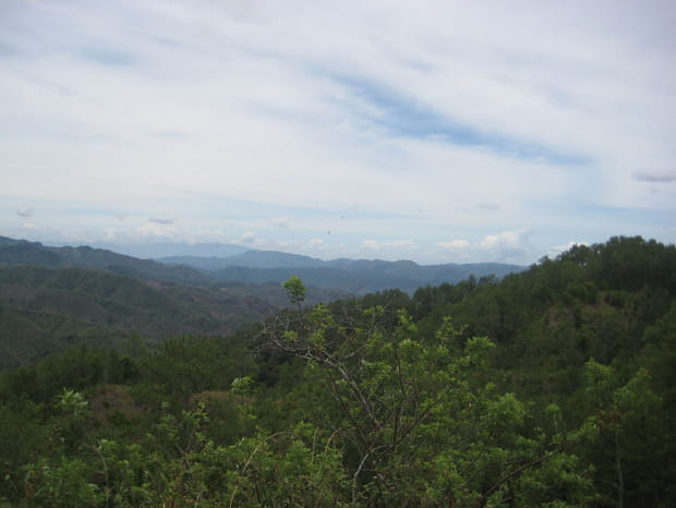 Le parc national de Cusuco dans le Honduras