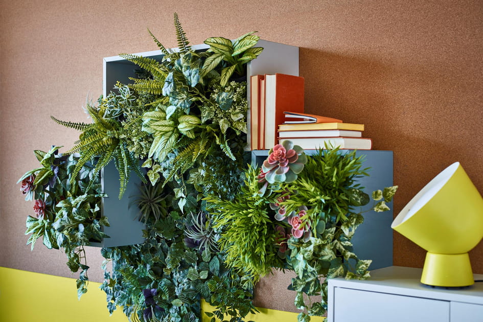 Installer des plantes vertes comme objets d&eacute;co