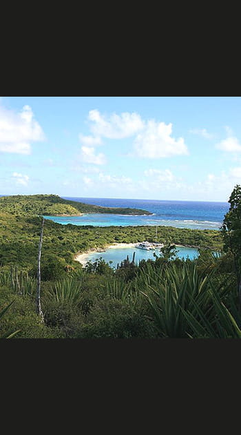 16- Antigua et Barbuda