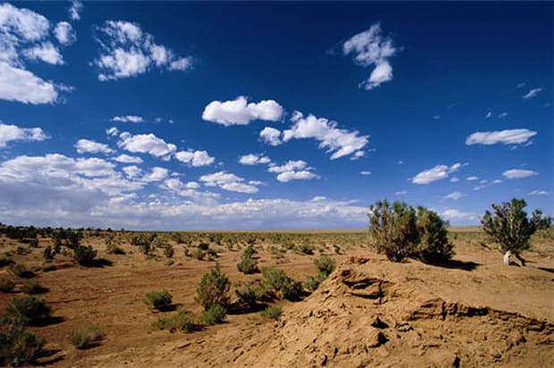 L'esprit de la terre