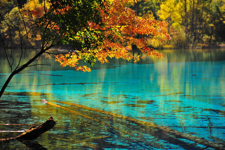 Les eaux les plus claires du monde