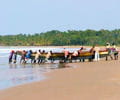 casamance