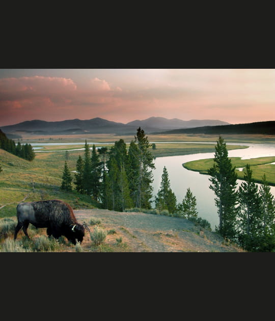 Lac de Yellowstone, Etats-Unis
