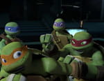 Les Tortues Ninja