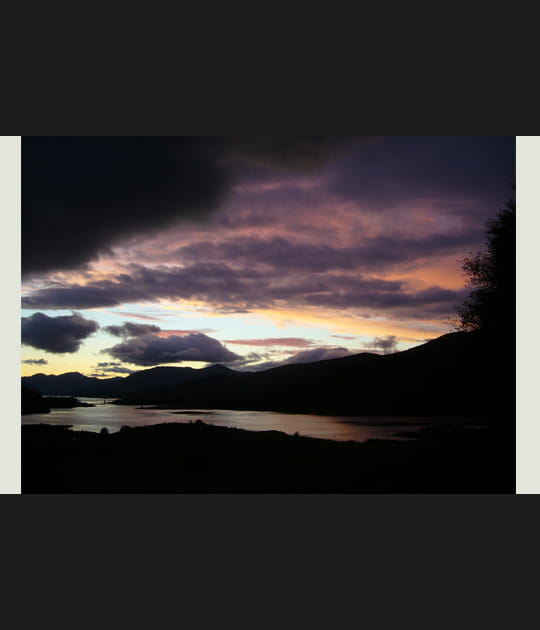 Pourpre aux alentours de Glencoe